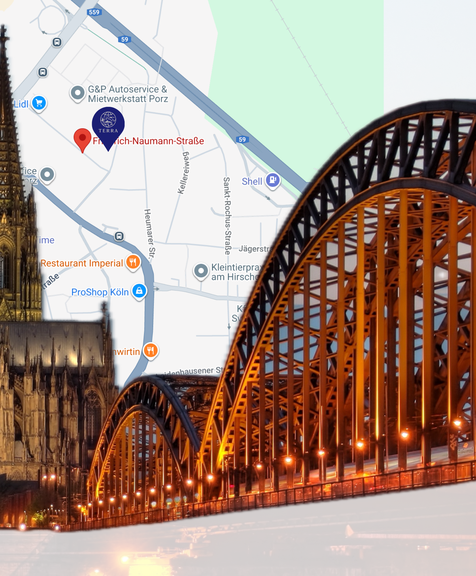 Terra Hotel Broschüre – Seite 13